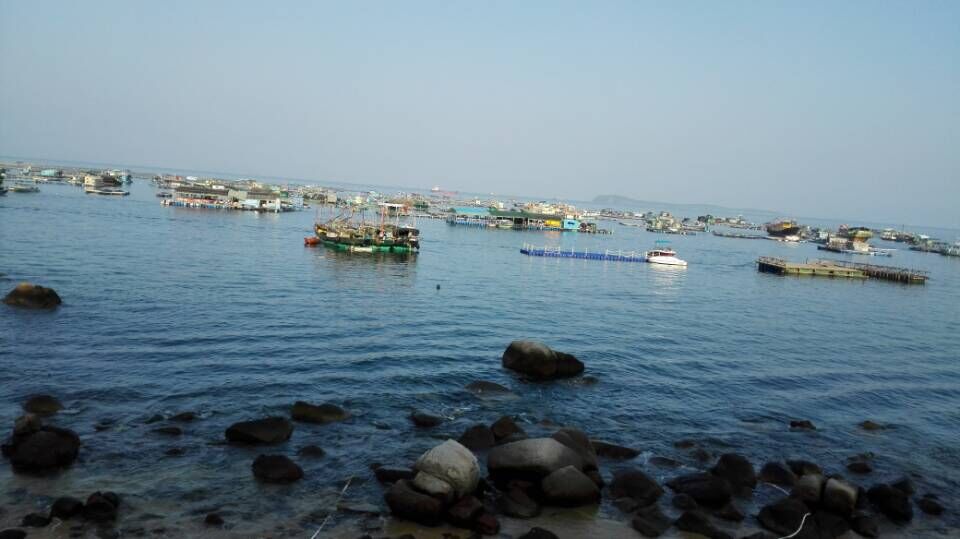 海邊晨景 海邊晨景