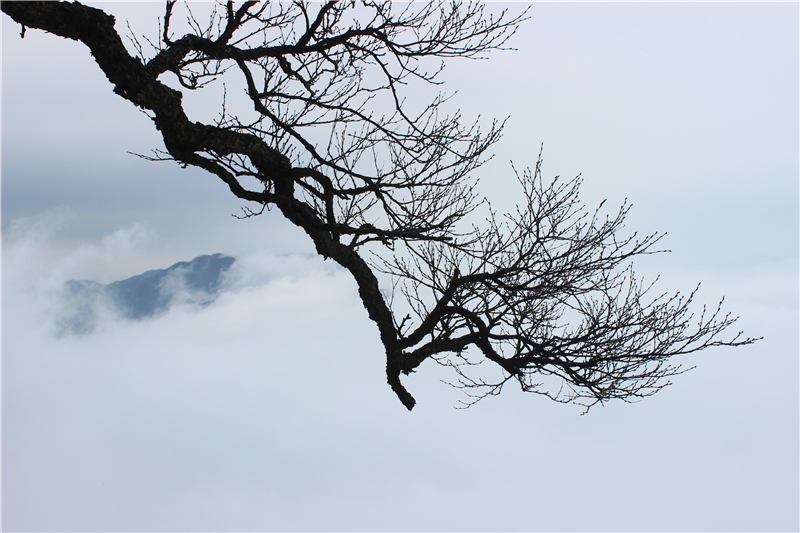 IMG_3577.jpg IMG_3577.jpg