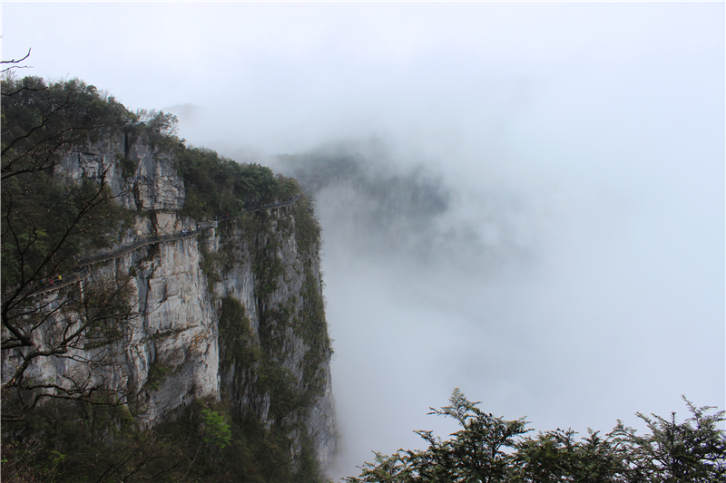 IMG_3677.jpg IMG_3677.jpg