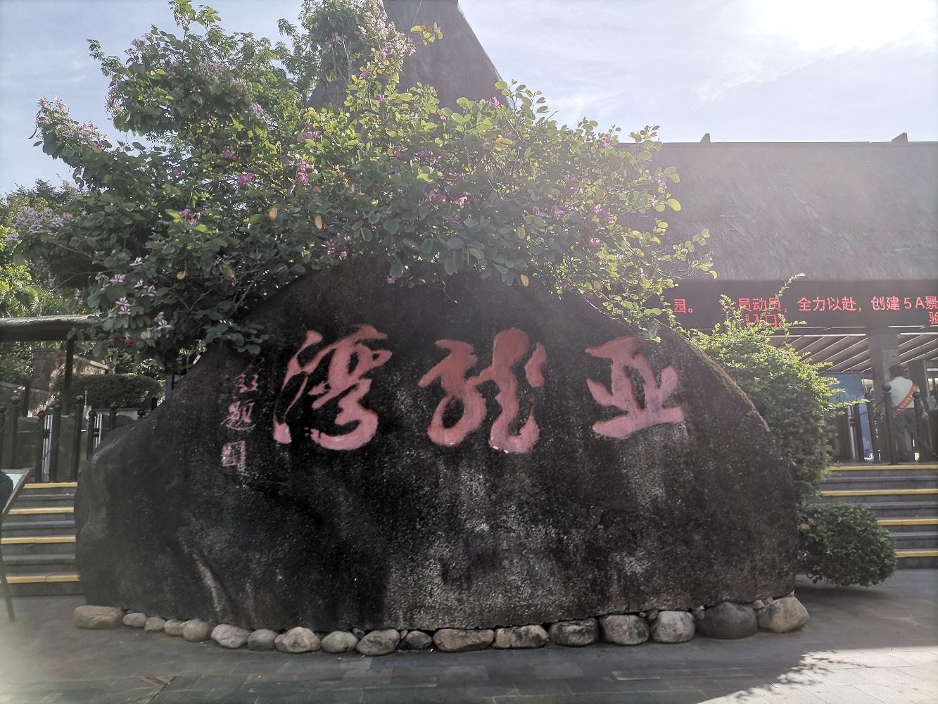 IMG_20211111_094727.jpg IMG_20211111_094727.jpg